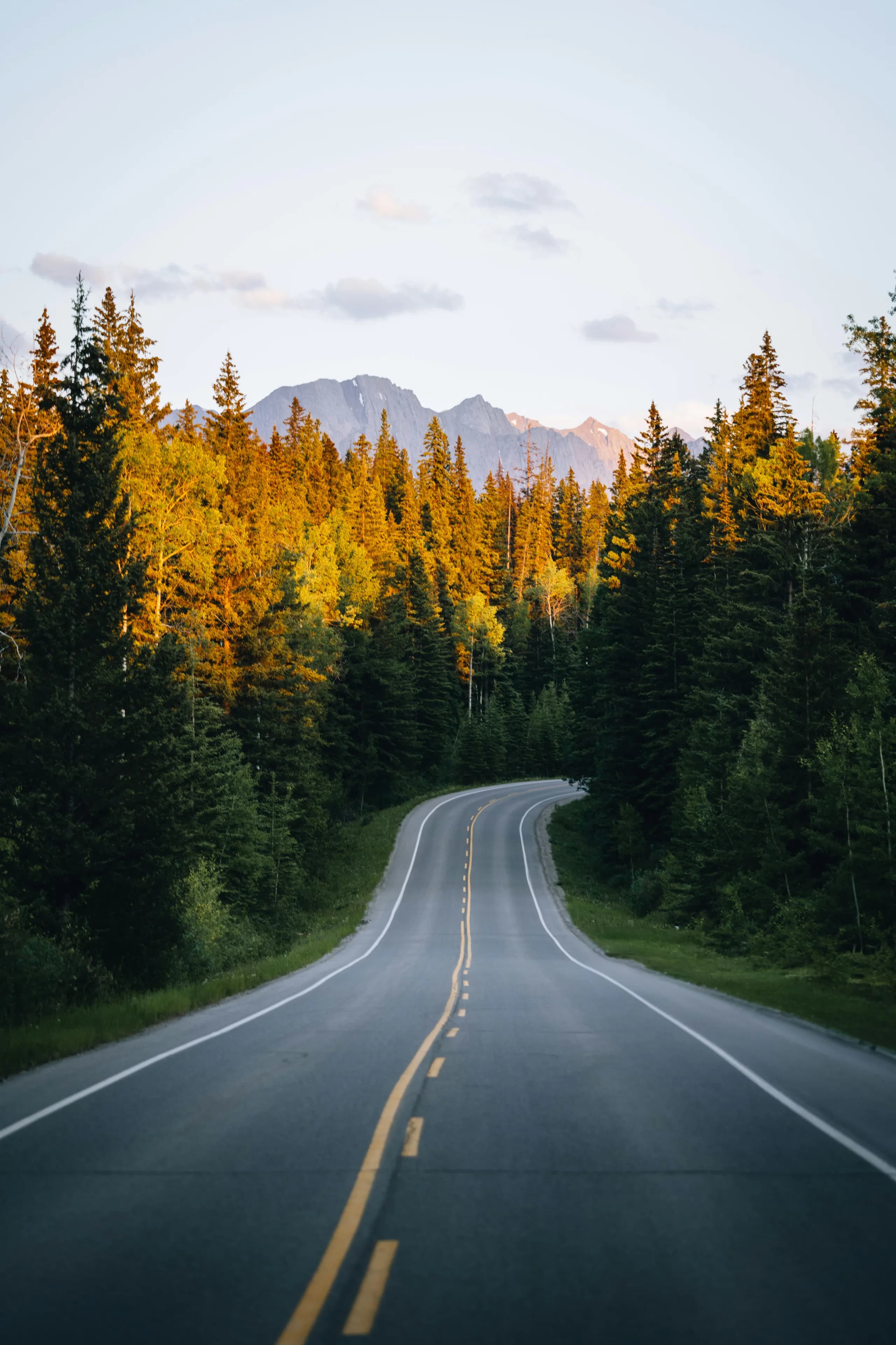 A winding mountain road through evergreen forest near Banff